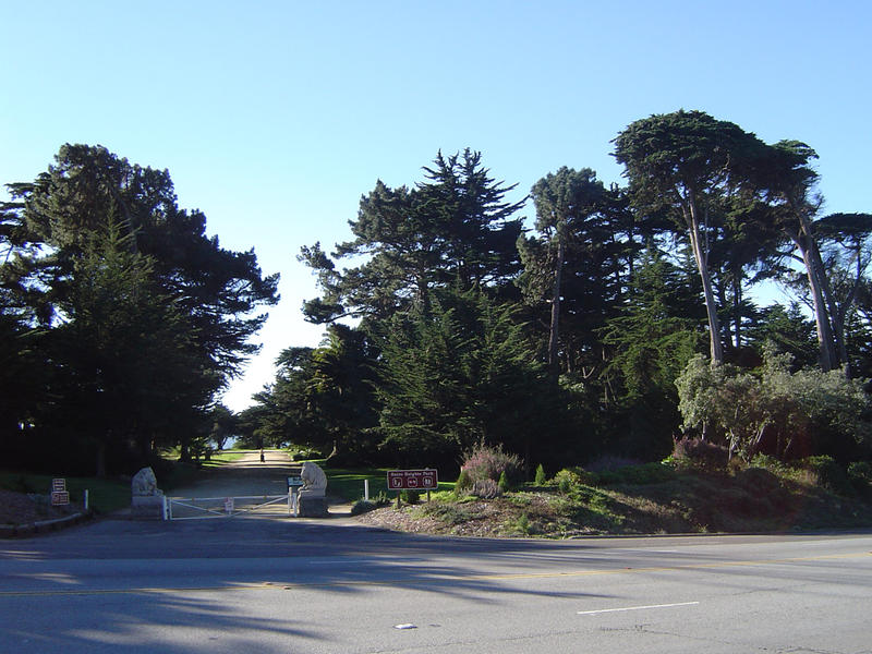 views of a coastal park on the california coast