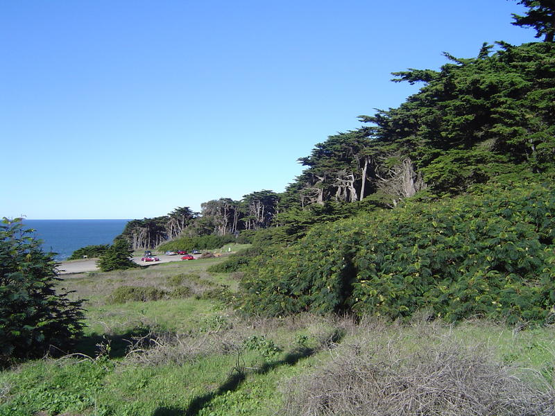 views of a coastal park on the california coast
