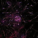 1063-fireworks_display_3284.JPG