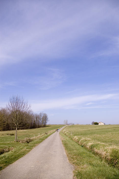 green fields in provincial france