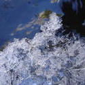 852-frozen_water_sheet_02286.JPG