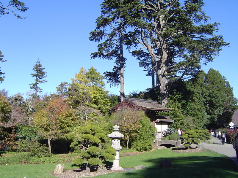 japanese tea gardens in the golden gate park, san francisco