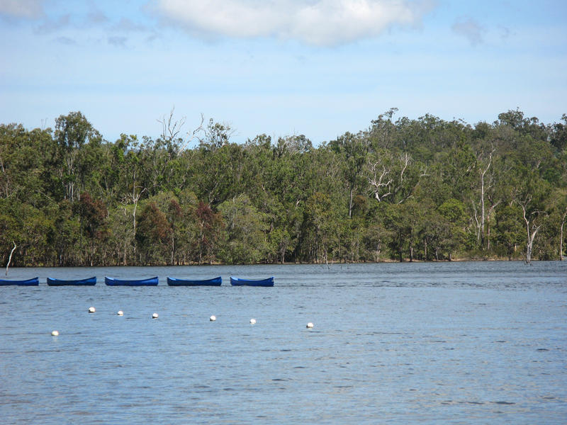 a line of canoes tied up on on lake tinaroo