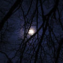 833-moon light