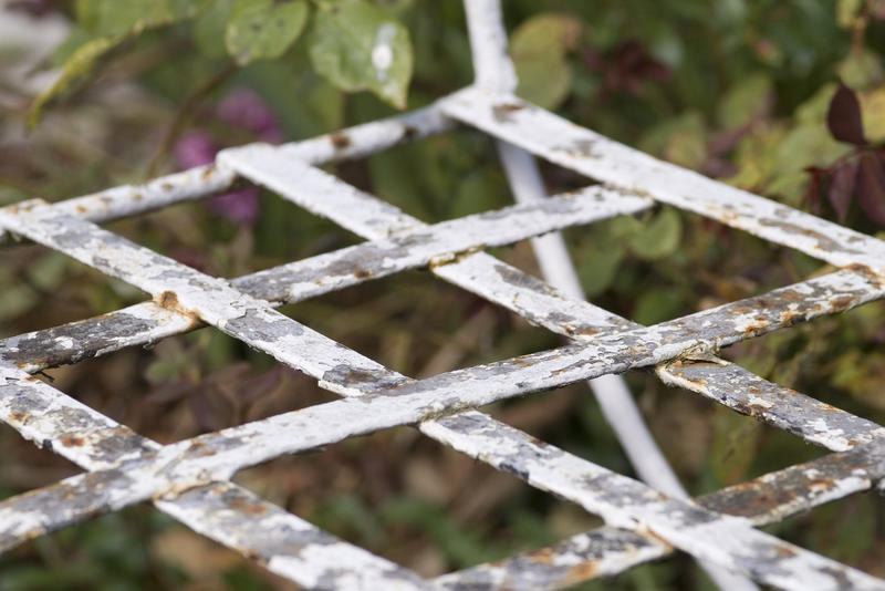 an old garden plant climber trellis with flaking paint