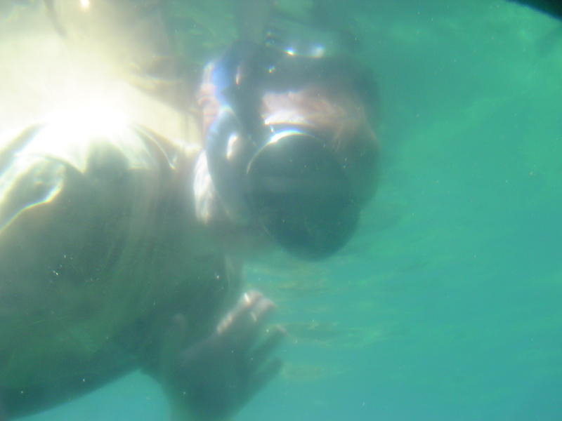 blurred images of a snorkeller