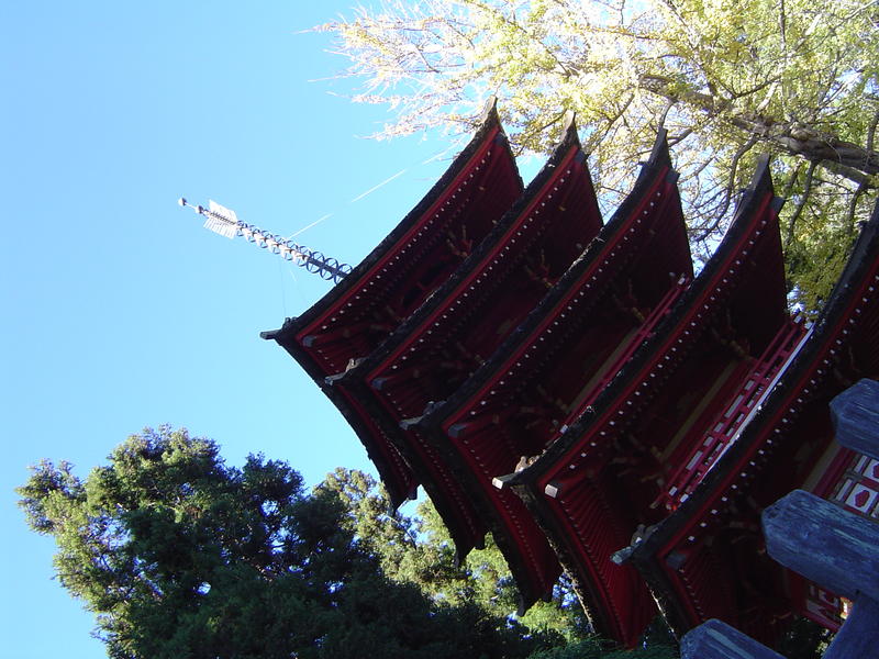 the pagoda in the japanese tea gardens, golden gate park, san francisco