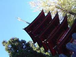 1009-tea_garden_pagoda_02189.JPG