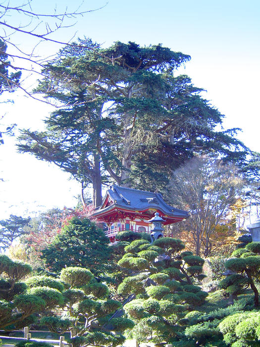 1010-tea_gardens_temple02183.JPG