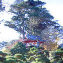 1010-tea_gardens_temple02183.JPG