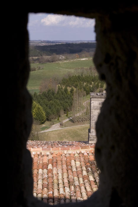 a view from the castle roof in a small french town