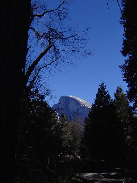amazing mountain scenery of the yosemite national park