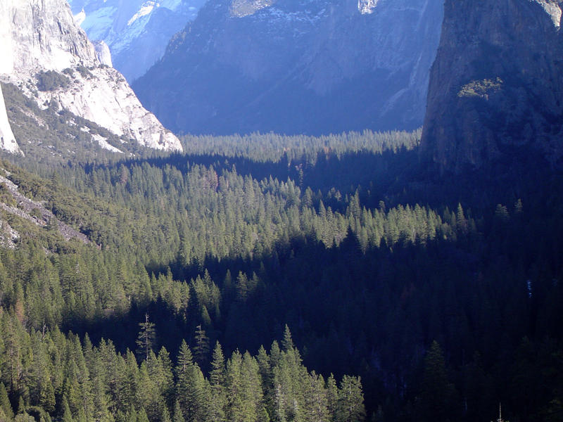 yosemite valley in the spectacular yosemite national park, california