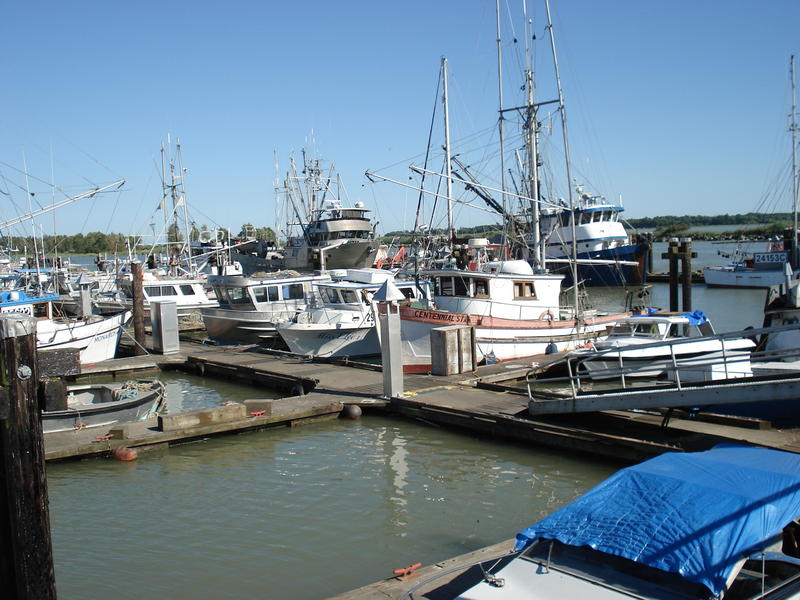 Fishing vessels docked at Wharf in Steveston, BC - 1632 x 1224 - 87kb