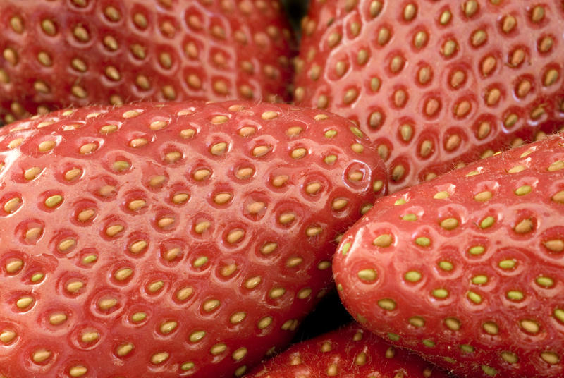 close up on some ripe red strawberries