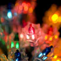 1856-christmas fairy lights