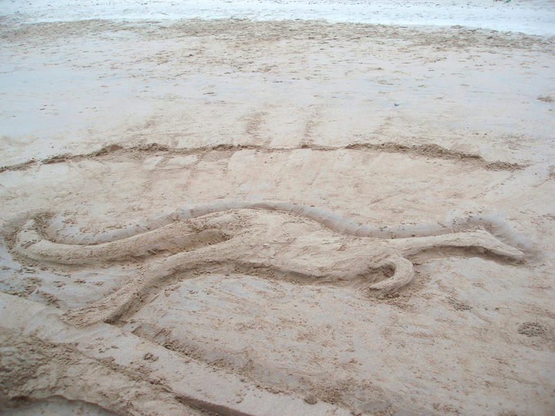 a kangaroo sculped in sand on a beach