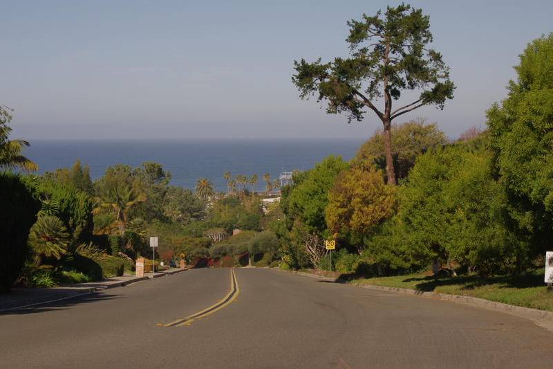 treelined streets of a california coastal suburb