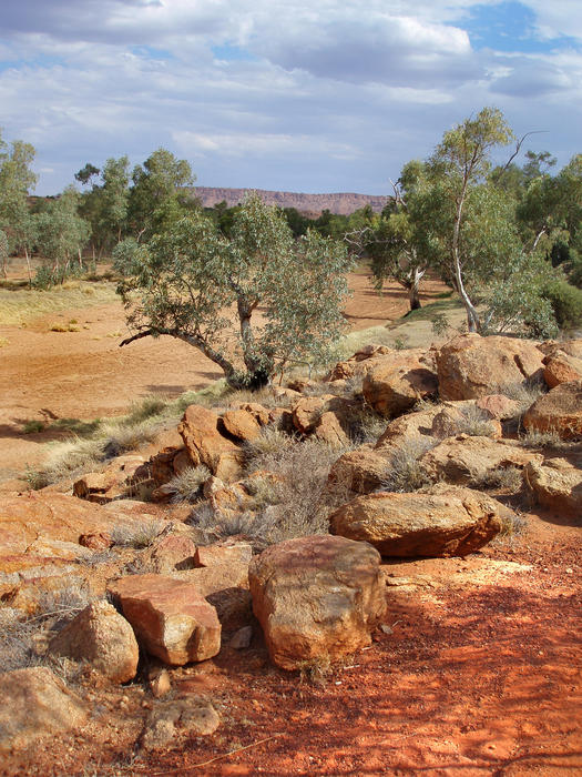 the dry bed and banks of the todd river near alice springs, the river only flows for short periods after heavy rain    