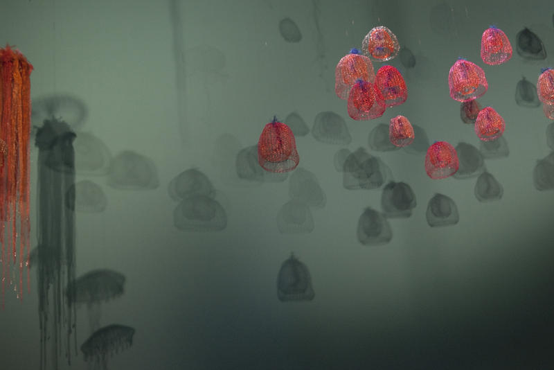 a smack or fluther of jellyfish models