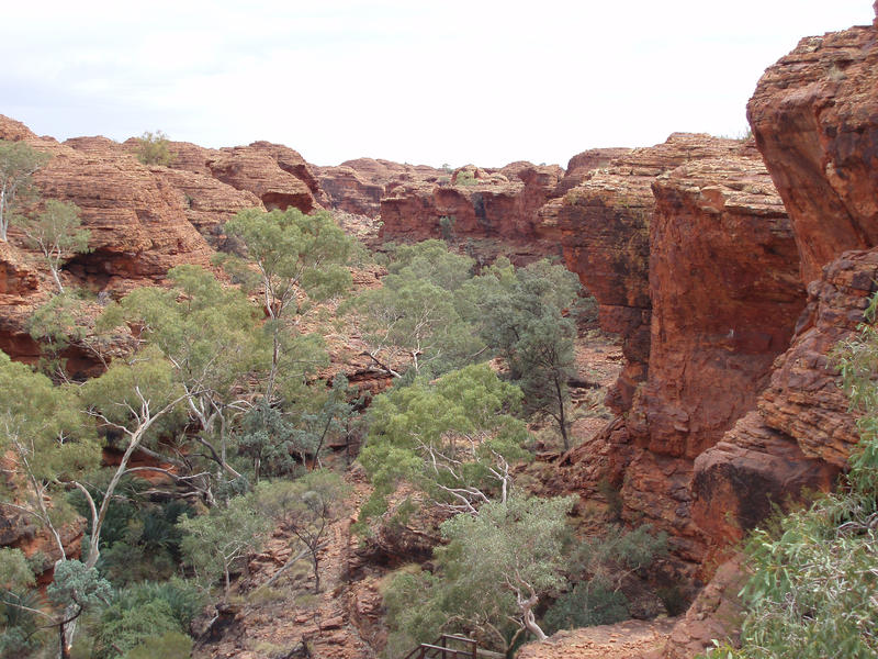 a sheltered part of kings canyon with water holes and trees known as the Garden of Eden