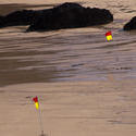 2743-yellow and orange beach flags
