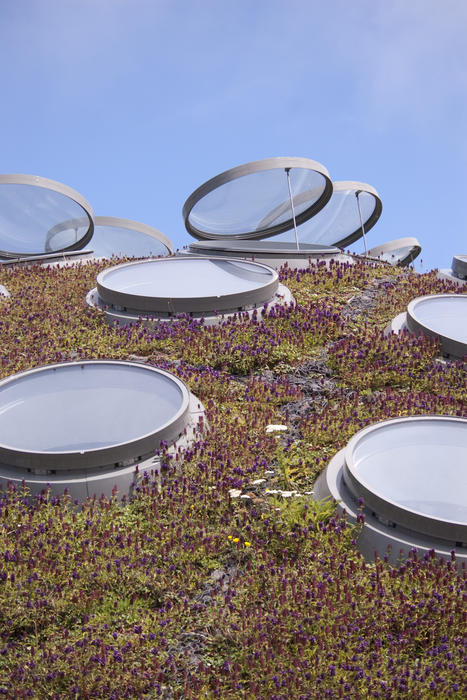 the living roof on the Academy of Sciences building, Goldengate park, san francisco
