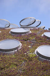 2880-Academy of Sciences Living Roof