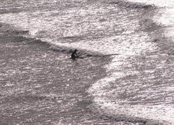 2731-surfer paddling out