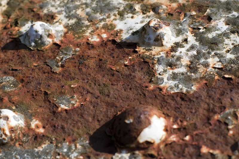 close up on a rusted metal surface