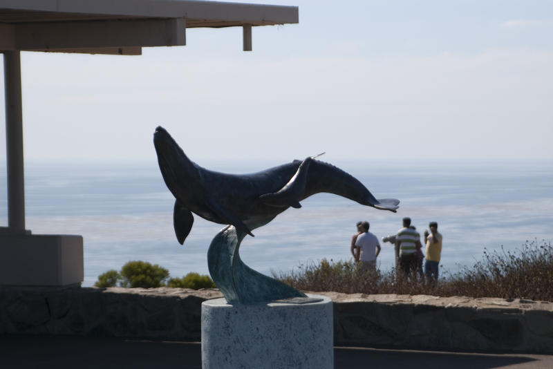 a whale statue at Point Loma Lighthouse