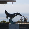 2639-whale statue