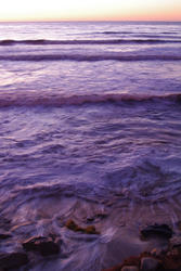 2567-purple ocean at sunset