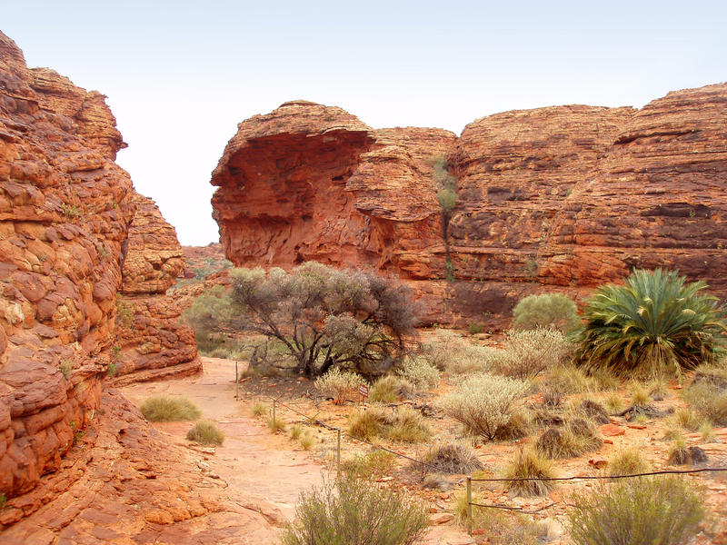 footpath through the sandstone rock domes known of the lost city, kings canyon