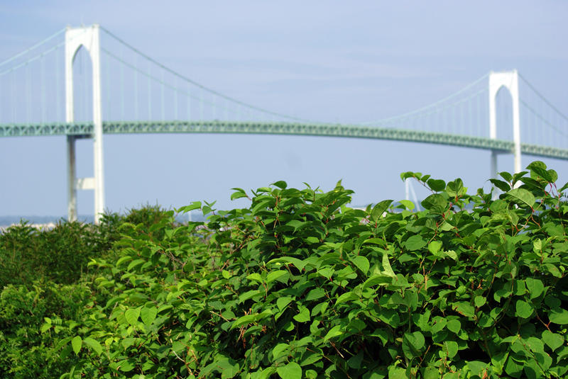<p>Large Steel Bridge</p>Bridge In Rhode Island