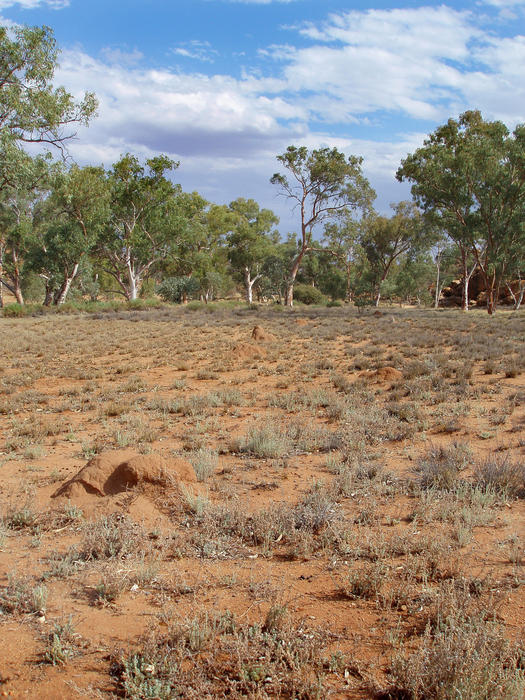 a dry arid landscape near alice springs, NT, australia
