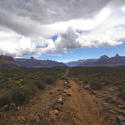 3136-arizona walking trail