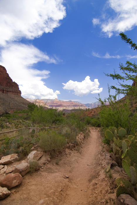 desert scenery on an arizona walking trail in the grand canyon