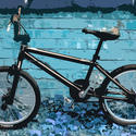 3294-bmx bike