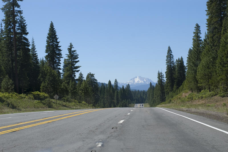 highway through alpine woodland in california