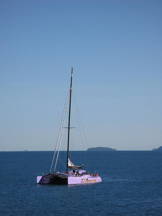 the big pink sailing catamaran: editorial use only