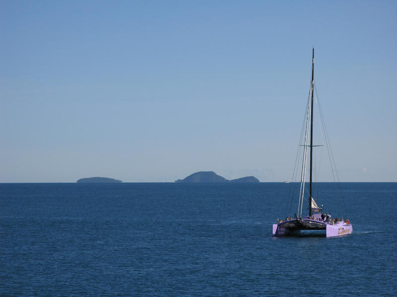 85 foot long pink sailing catamaran: editorial use only