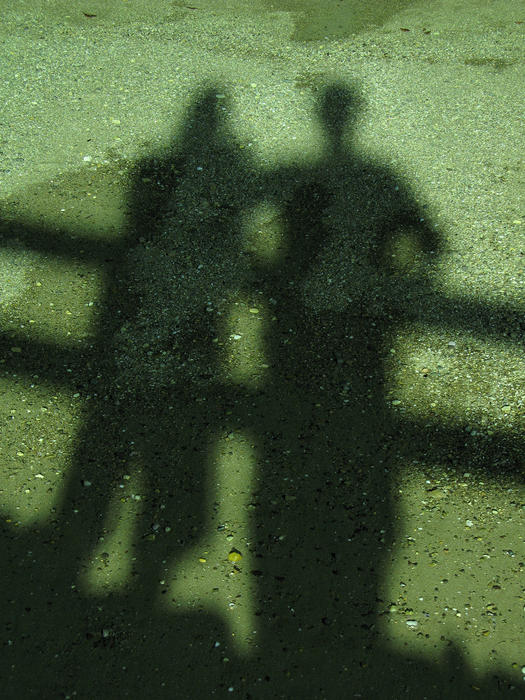 shadows in the greenish light from a murcury vapour street light at night