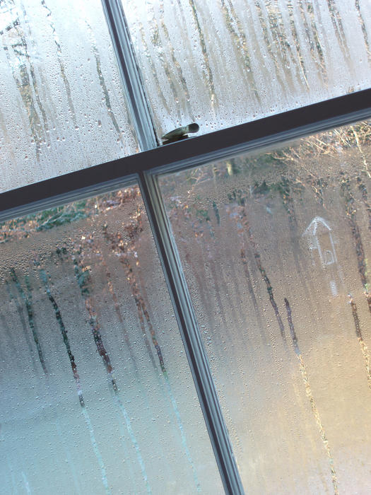 condensation misting up and running down the side of a window