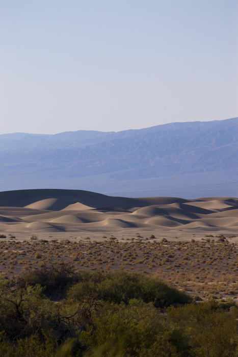san dunes in death valley national park