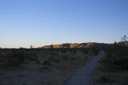 3061-desert sunset