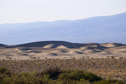 3062-Sand Dune