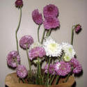 3861-flower_arrangement.jpg
