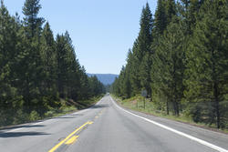 3123-forest highway