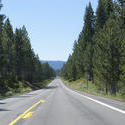 3123-forest highway